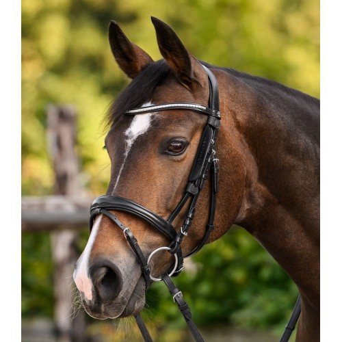 Waldhausen Blinkers