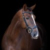 Imperial Riding Snaffle Bridle IRH with ergonomic drop noseband/flash strap