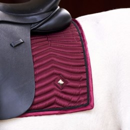 Imperial Riding FW25 вальтрап IRHRebel GP