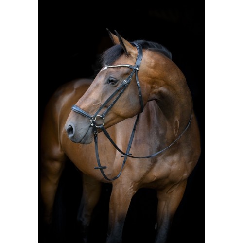 HorseGuard SS26 Cryll 26.1 drop noseband bridle