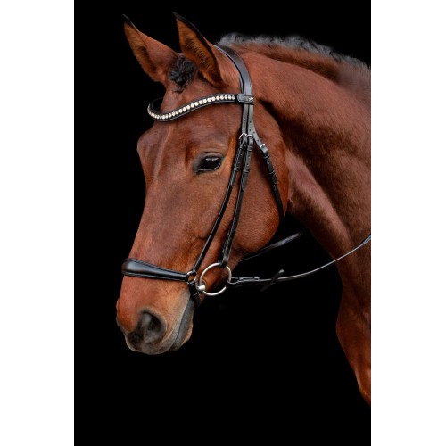 Schockemöhle Bridle Pisa
