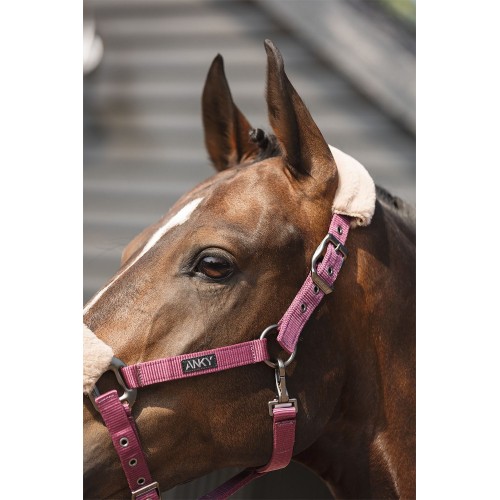 ANKY Halter and Rope Check Velvet