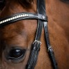 Imperial Riding Snaffle Bridle IRH simple combined noseband