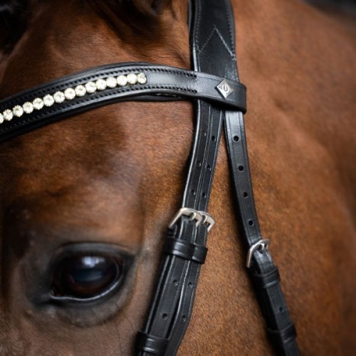 Imperial Riding Snaffle Bridle IRH simple combined noseband