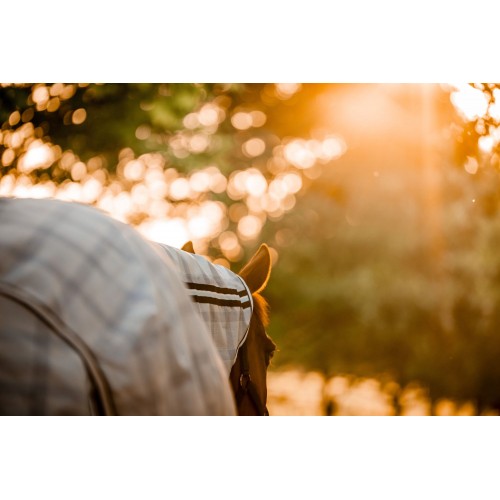 Horseware Newmarket Pony Plus Fly Sheet