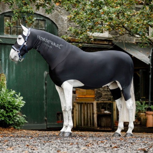 Rambo Slinky Full Body