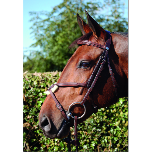 Dyon Classic bridle mexican noseband