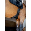 Catago Dressage Girth