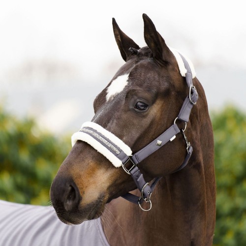 Imperial Riding FW25 Halter Jewel