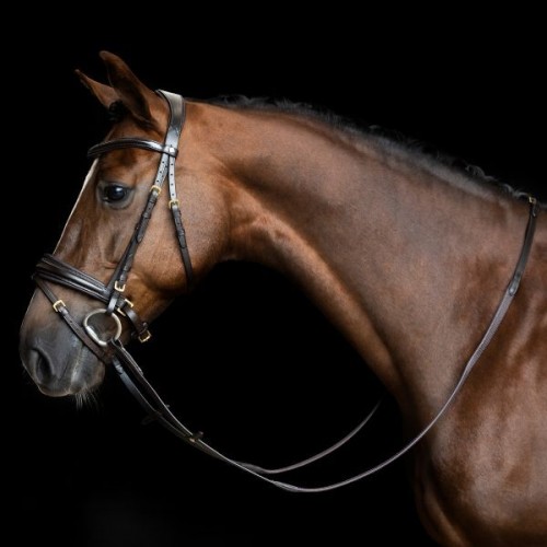 Imperial Riding Reins IRH rubber with pimples
