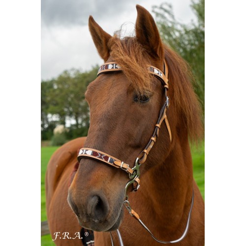 F.R.A. Esprit Bridle