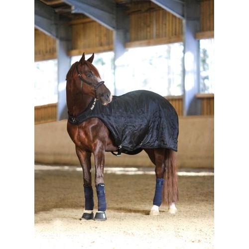 Back on Track Horse Walker Rug Machine