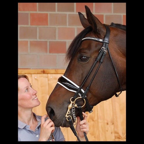 Dyon rolled double bridle with large patent crack noseband, white padding