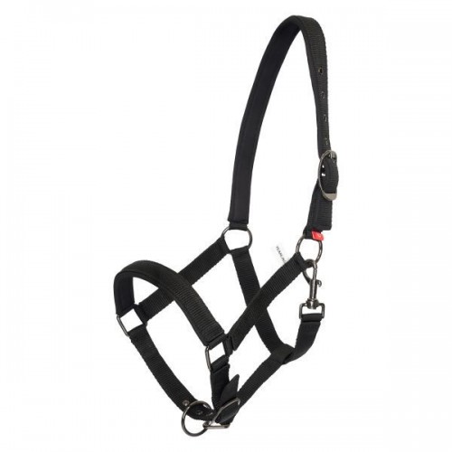Imperial Riding SS26 Halter Yearling IRH