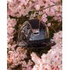 Samshield 2.0 Miss Shield Glossy Zwart Cherry Blossom Chrome Black Trim Blazon + 5 SW