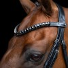Imperial Riding SS26 Browband IRHMaxima