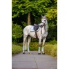 Equestrian Stockholm Ice Blue Springdekje