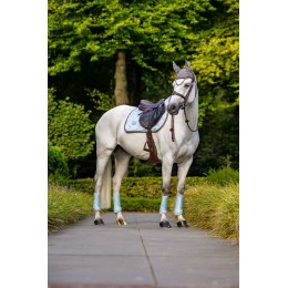 Equestrian Stockholm Ice синий Springdekje