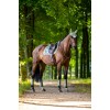 Equestrian Stockholm Pistachio White Classic Mesh Brushing Boots