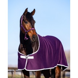 HypoStore флисовая попона логотип Plum
