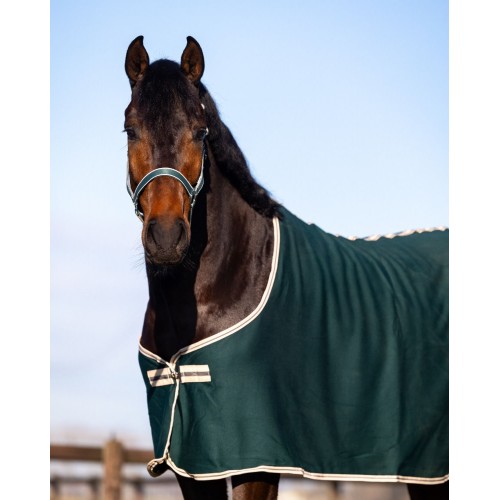 HypoStore Fleece Rug Logo Dark Green