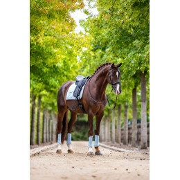 Equestrian Stockholm Ice синий Classic из сетки ногавки
