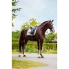Equestrian Stockholm Pistachio White Classic Mesh Brushing Boots