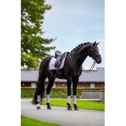 Equestrian Stockholm Lavender выездковый вальтрап