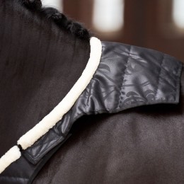 Imperial Riding FW25 Chest защитный IRHSuper-dry
