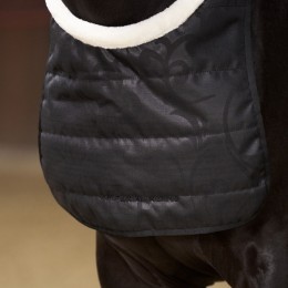 Imperial Riding FW25 Chest защитный IRHSuper-dry