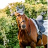Horseware Newmarket Ear Net