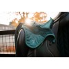 Horseware Ear Net