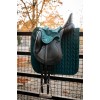 Horseware Ear Net