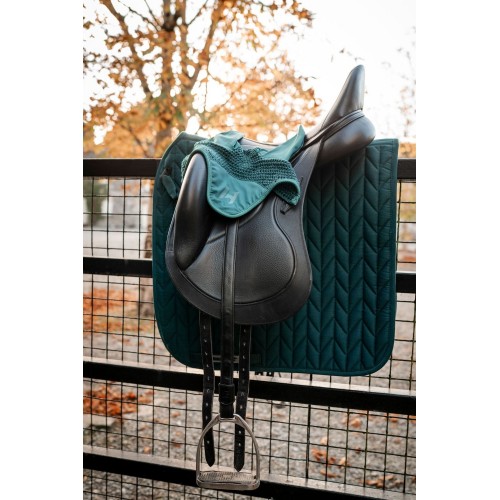 Horseware Ear Net