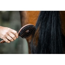 Horseware грива & Tail щётка