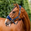 Horseware Signature Grooming Headcollar