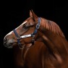 Horseware Field Safe Halter