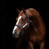 Horseware Field Safe Halter
