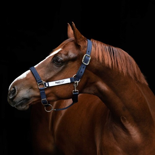 Horseware Field Safe Halter