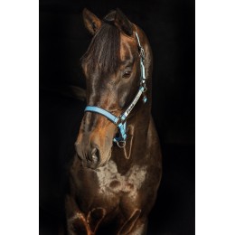 Horseware Field Safe недоуздок