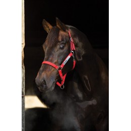 Horseware Field Safe недоуздок