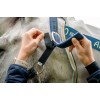 Horseware Field Safe Halter