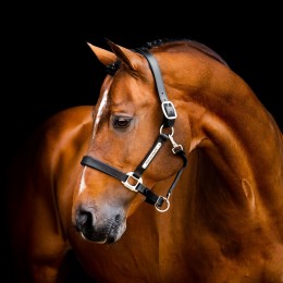 Horseware Signature кожаный Headворотник