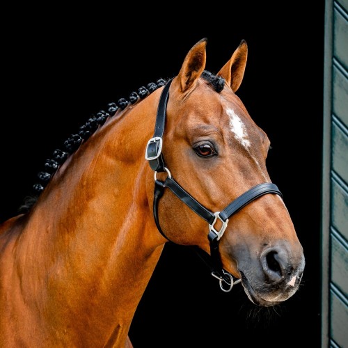 Horseware Signature Leather Headcollar