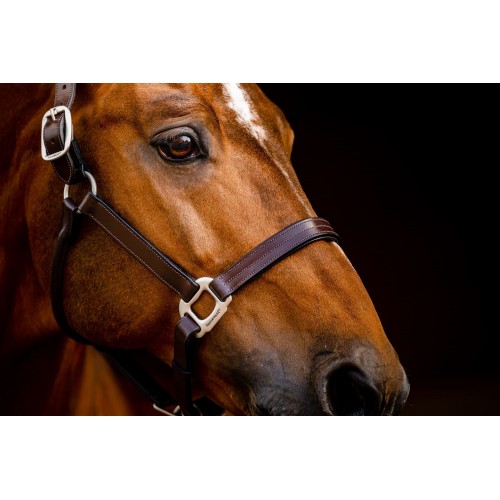 Horseware Signature Leather Headcollar