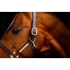 Horseware Signature Leather Headcollar
