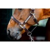 Horseware Signature Leather Headcollar