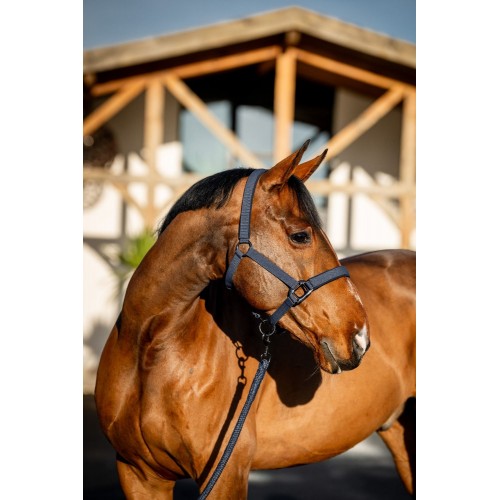 Amigo Headcollar & Leadrope Set