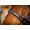 Amigo Headcollar & Leadrope Set