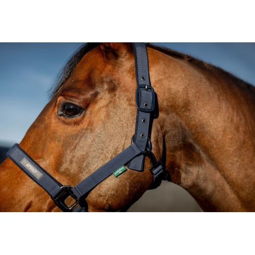 Amigo Headcollar & Leadrope Set